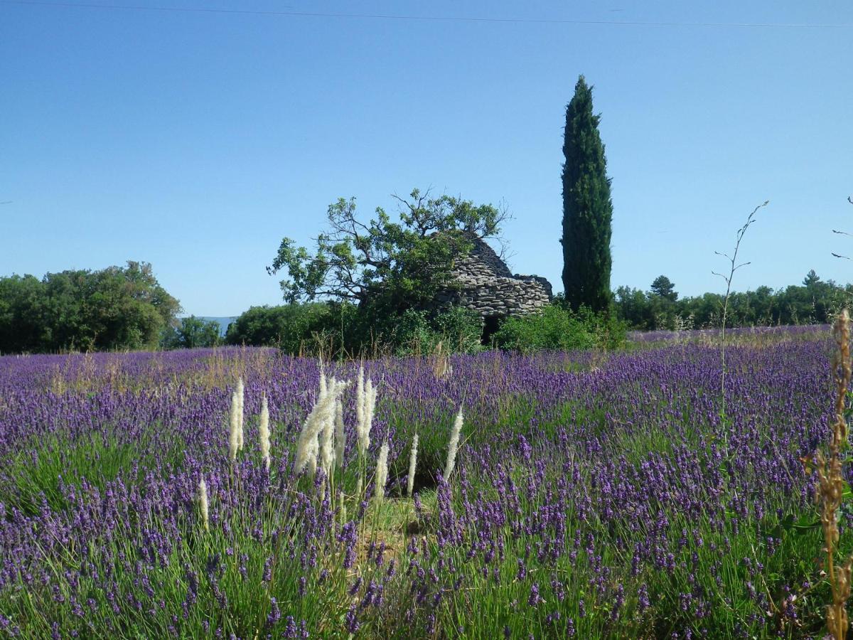 La Mordoree La Motte-d'Aigues Exterior foto