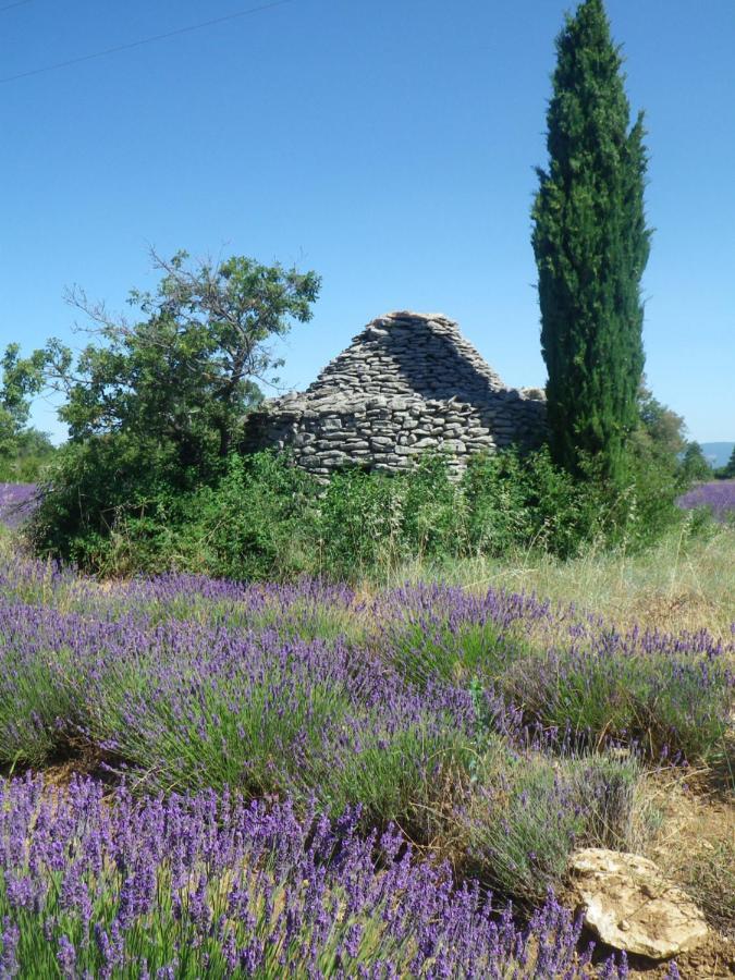 La Mordoree La Motte-d'Aigues Exterior foto
